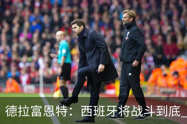 德拉富恩特：西班牙将战斗到底 巴西队仍然是诸强学习的榜样